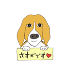 恵子さんのビーグル犬（個別スタンプ：9）