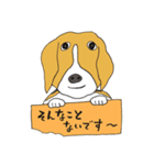 恵子さんのビーグル犬（個別スタンプ：10）