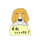 恵子さんのビーグル犬（個別スタンプ：12）