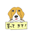 恵子さんのビーグル犬（個別スタンプ：13）