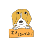 恵子さんのビーグル犬（個別スタンプ：14）