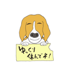 恵子さんのビーグル犬（個別スタンプ：15）