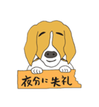 恵子さんのビーグル犬（個別スタンプ：19）
