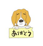 恵子さんのビーグル犬（個別スタンプ：20）