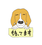 恵子さんのビーグル犬（個別スタンプ：21）