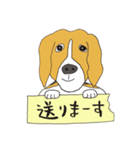 恵子さんのビーグル犬（個別スタンプ：22）