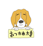 恵子さんのビーグル犬（個別スタンプ：25）
