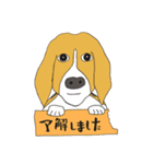 恵子さんのビーグル犬（個別スタンプ：31）