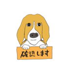 恵子さんのビーグル犬（個別スタンプ：37）