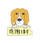 恵子さんのビーグル犬（個別スタンプ：40）