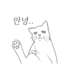 万事が面倒な猫（個別スタンプ：1）