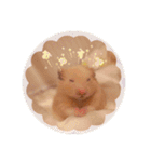 我が家のハムちゃんたち（個別スタンプ：3）