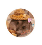 我が家のハムちゃんたち（個別スタンプ：4）