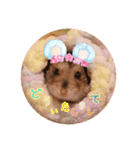 我が家のハムちゃんたち（個別スタンプ：12）