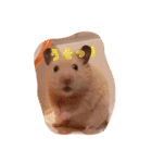 我が家のハムちゃんたち（個別スタンプ：13）
