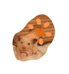 我が家のハムちゃんたち（個別スタンプ：14）