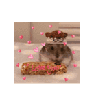我が家のハムちゃんたち（個別スタンプ：15）
