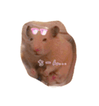 我が家のハムちゃんたち（個別スタンプ：17）