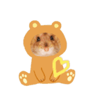 我が家のハムちゃんたち（個別スタンプ：20）