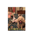 わんころりん( •̀ .̫ •́ )✧（個別スタンプ：3）