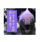 水族館のおともだち（個別スタンプ：4）