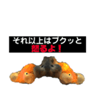 水族館のおともだち（個別スタンプ：7）