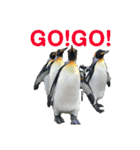 水族館のおともだち（個別スタンプ：11）