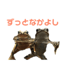 水族館のおともだち（個別スタンプ：12）