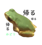 菊地一族（個別スタンプ：6）