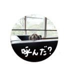 みんな大好き！まりんだよ〜（個別スタンプ：2）