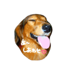 みんな大好き！まりんだよ〜（個別スタンプ：3）