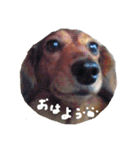 みんな大好き！まりんだよ〜（個別スタンプ：4）
