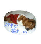 みんな大好き！まりんだよ〜（個別スタンプ：6）