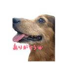 みんな大好き！まりんだよ〜（個別スタンプ：11）