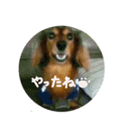 みんな大好き！まりんだよ〜（個別スタンプ：12）