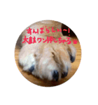 みんな大好き！まりんだよ〜（個別スタンプ：14）