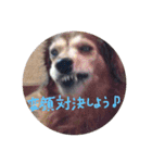 みんな大好き！まりんだよ〜（個別スタンプ：16）