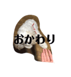 まるちーずのまるお（個別スタンプ：4）