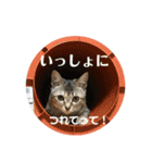 まめちゃり2（個別スタンプ：17）