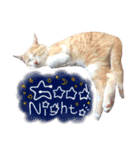 おみそちゃんスタンプ 1（個別スタンプ：2）
