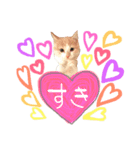 おみそちゃんスタンプ 1（個別スタンプ：5）
