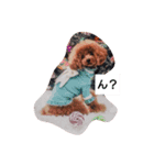 Meg's family（個別スタンプ：2）