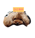 Meg's family（個別スタンプ：6）
