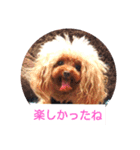 Meg's family（個別スタンプ：8）