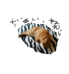 キリの日常（個別スタンプ：2）