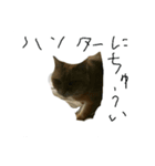 キリの日常（個別スタンプ：3）