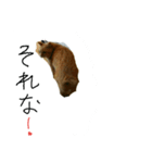キリの日常（個別スタンプ：8）