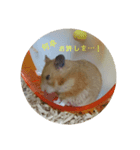 チーム  ゴールデンハムスター  2（個別スタンプ：7）