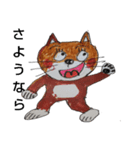 柴  猫君（個別スタンプ：6）