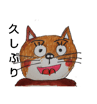 柴  猫君（個別スタンプ：15）